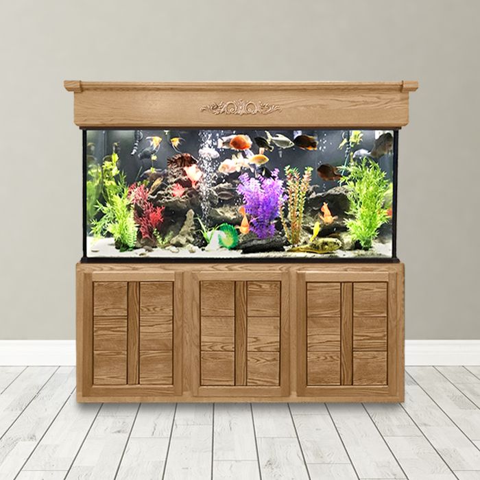 Rabbit Hutch Outdoor