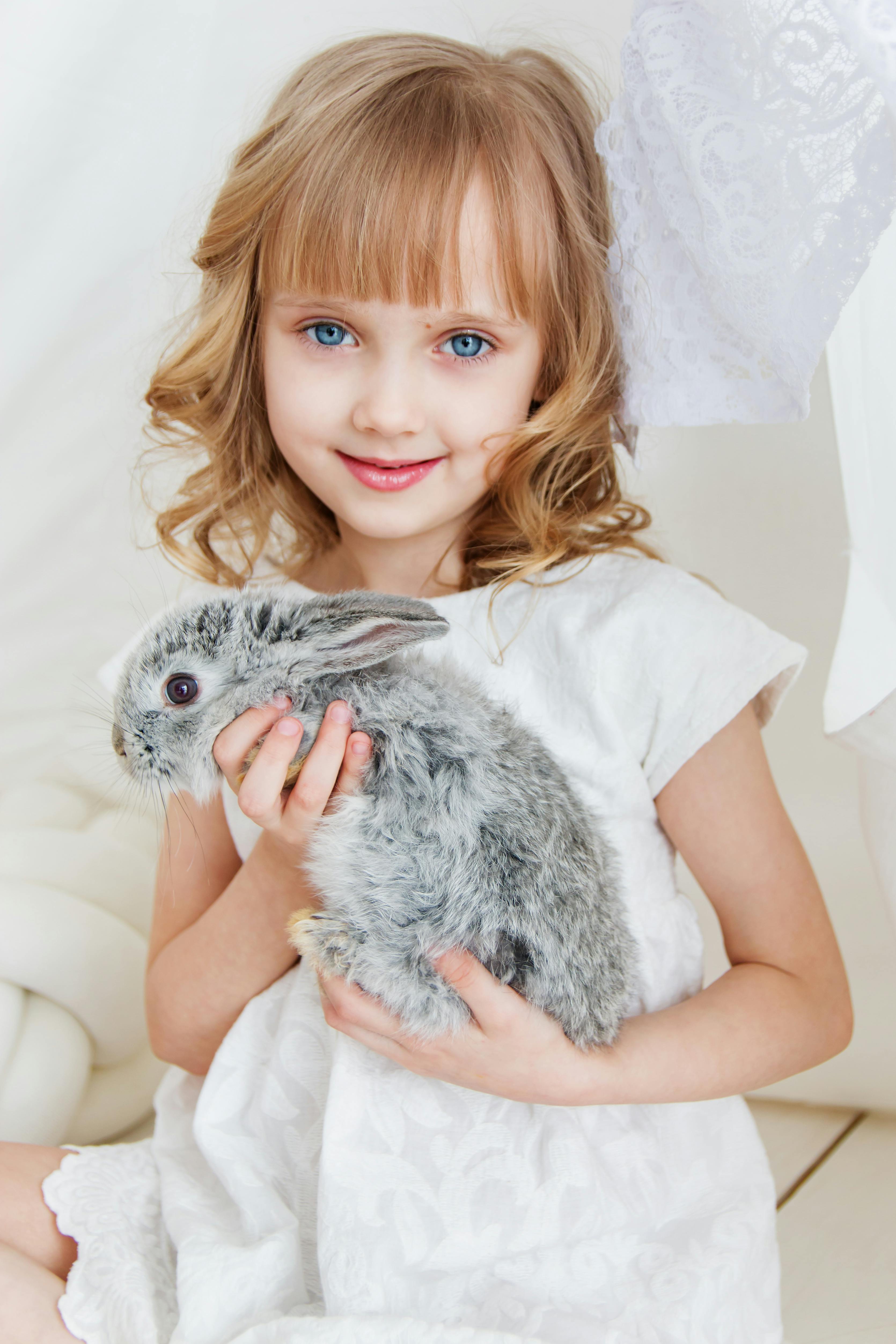 Smart Ways to Improve Eastern Cottontail Rabbit Habitats in 2025