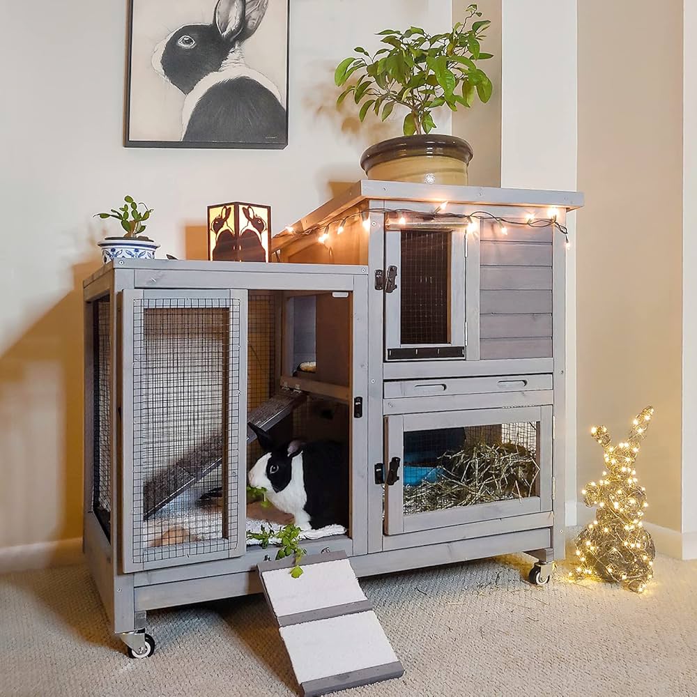 Indoor Rabbit Hutch