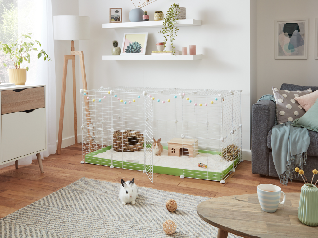 Indoor Rabbit Hutch Design