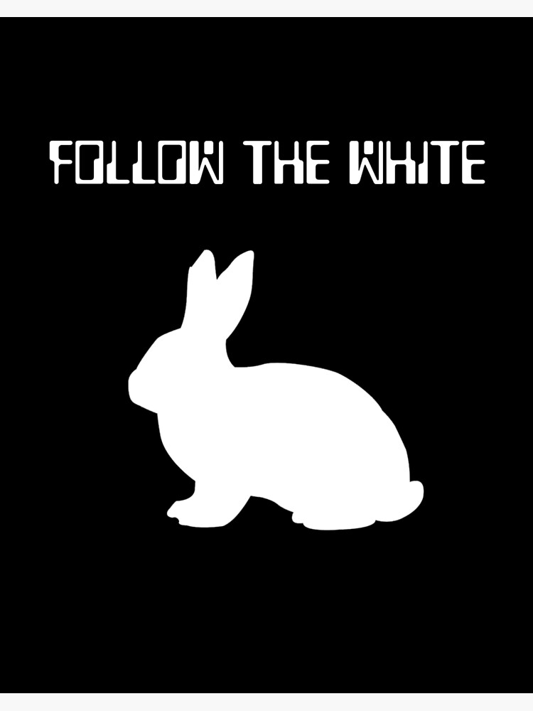 Follow the White Rabbit