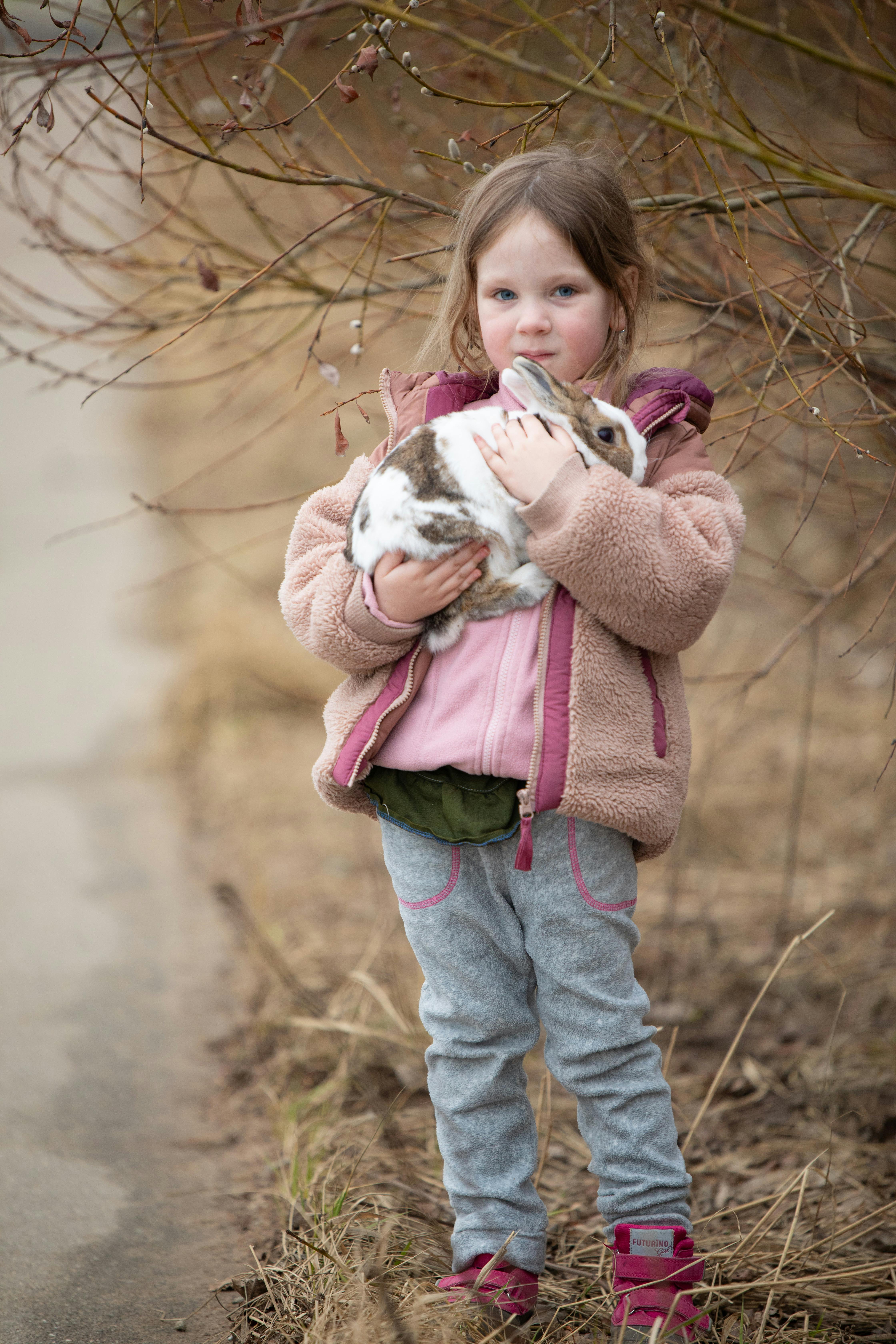 Reader Rabbit for Toddler Learning